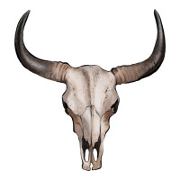 bullskull | Teevron