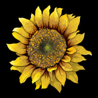 Sunflower Urban Hoodie | Teevron