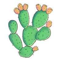 texas prickly pear cactus | Teevron