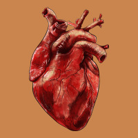 Anatomical Heart Heavyweight Hoodie | Teevron