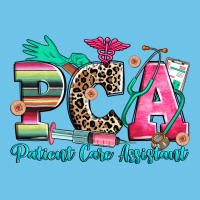 Pca Patient Care Assistant Premium Sweatshirt | Teevron