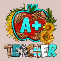 A+ Teacher Apple Premium Hoodie | Teevron