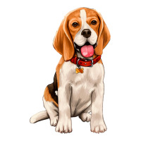 beagle | Teevron