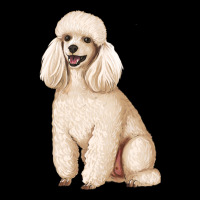 Standart Poodle Urban Hoodie | Teevron