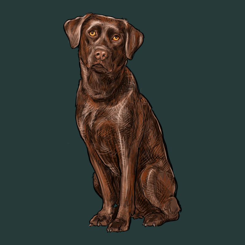 Labrador Retriever Premium Sweatshirt by RanaPortraitStore | Teevron