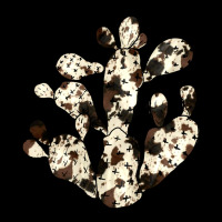 Cowhide Cactus Urban Hoodie | Teevron