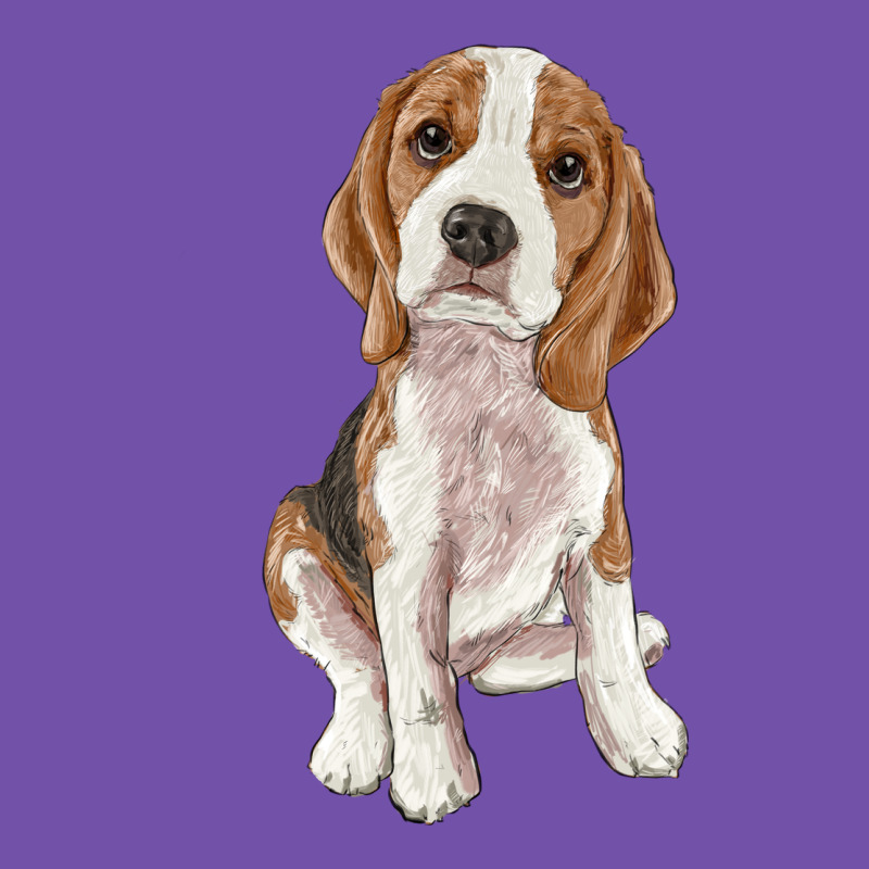 Beagle Premium Sweatshirt by RanaPortraitStore | Teevron