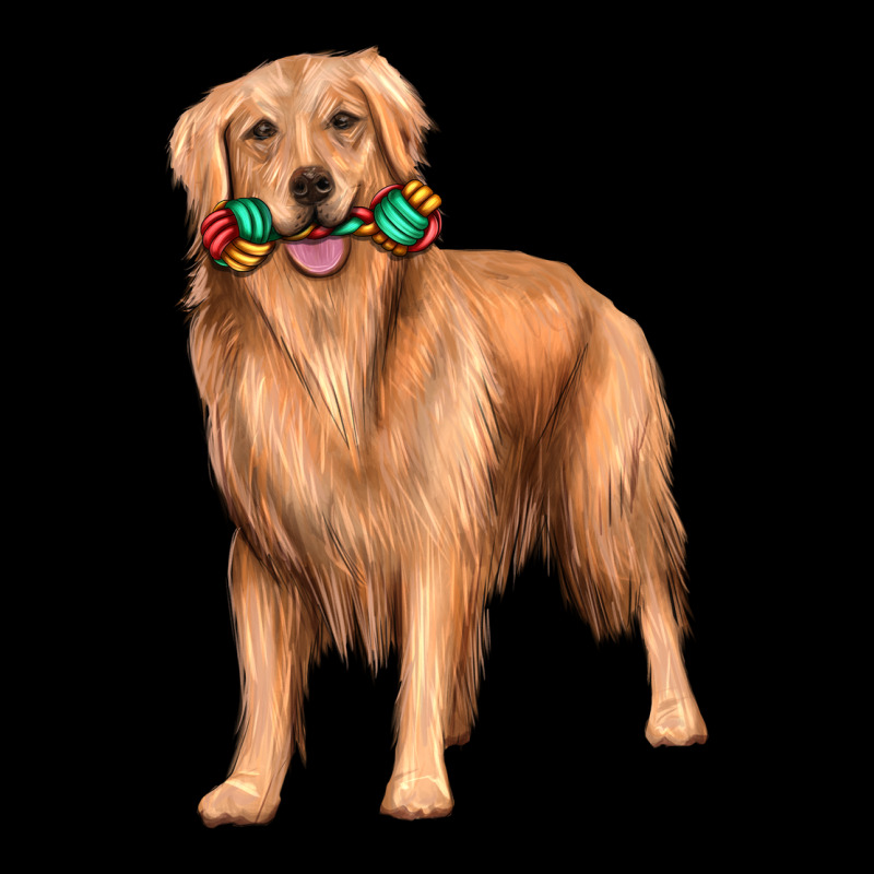 Golden Retriever With Toys Premium Sweatshirt by texasbilliewilder | Teevron