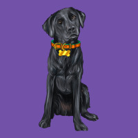 Labrador Retriever With Overflow Premium Sweatshirt | Teevron