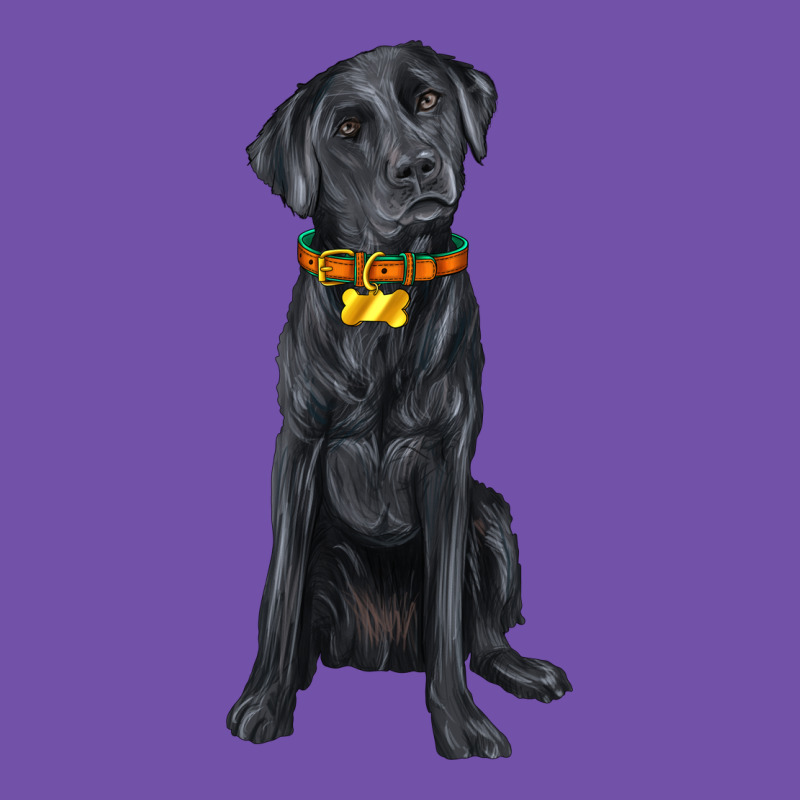 Labrador Retriever With Overflow Premium Sweatshirt by texasbilliewilder | Teevron