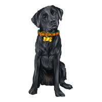 labrador retriever with overflow | Teevron
