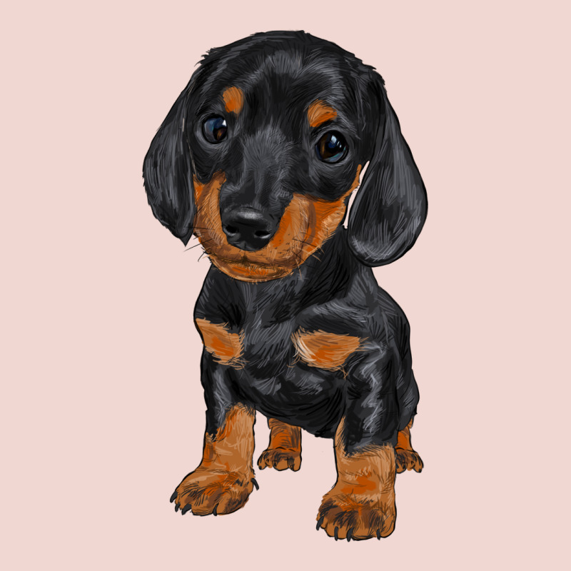 Dachshund Puppy Premium Sweatshirt by RanaPortraitStore | Teevron