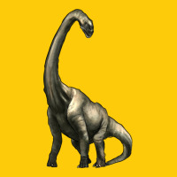 Brachiosaurus Premium Hoodie | Teevron
