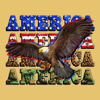 America America America America Premium Sweatshirt | Teevron