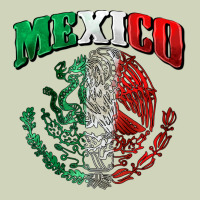 Mexico Coat Of Arms Heavyweight Hoodie | Teevron