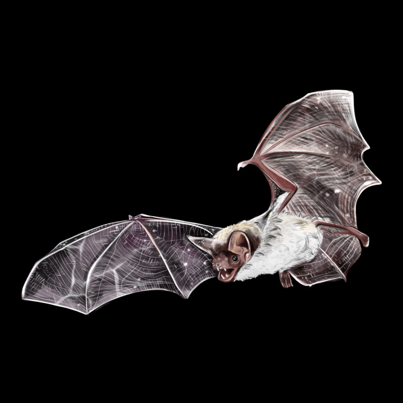 Mexican Free Tailed Bat Premium Tee by LillyAllenDesigns | Teevron