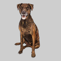 Plott Hound Premium Tee | Teevron