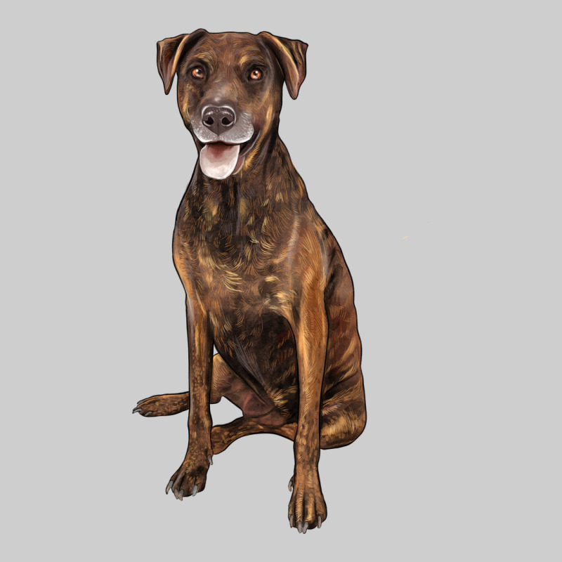 Plott Hound Premium Tee by LillyAllenDesigns | Teevron