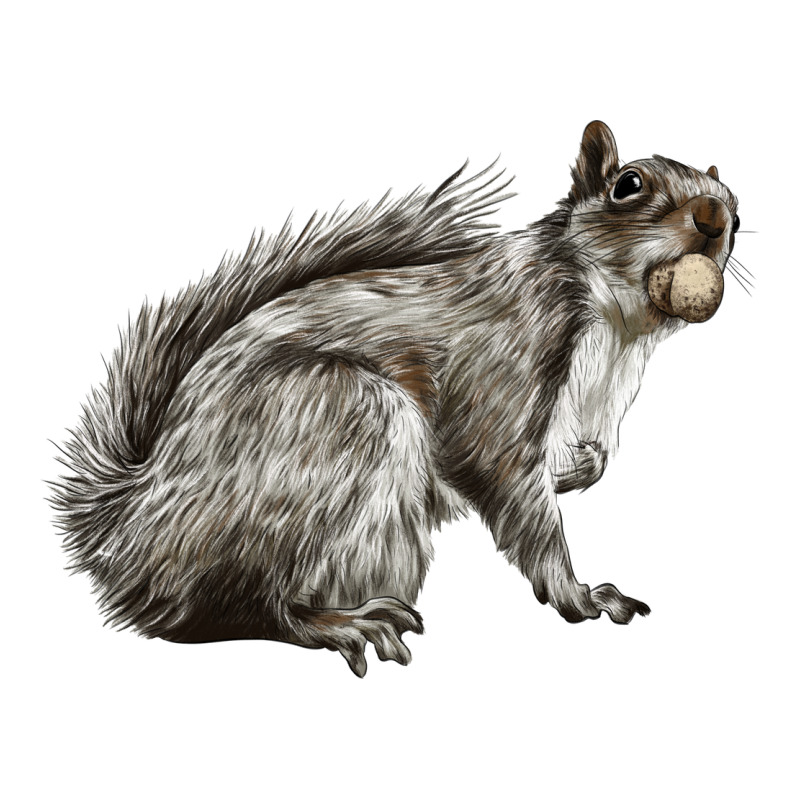Gray Squirrel Premium Tee by LillyAllenDesigns | Teevron