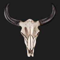 Western Bull Skull Tbw Heavyweight Hoodie | Teevron
