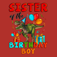 Sister Of The Birthday Boy T Rex Premium Hoodie | Teevron
