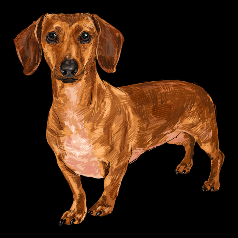 Dachshund Premium Sweatshirt by RanaPortraitStore | Teevron