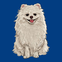 White Pomeranian Premium Sweatshirt | Teevron