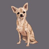 Chihuahua Premium Sweatshirt | Teevron