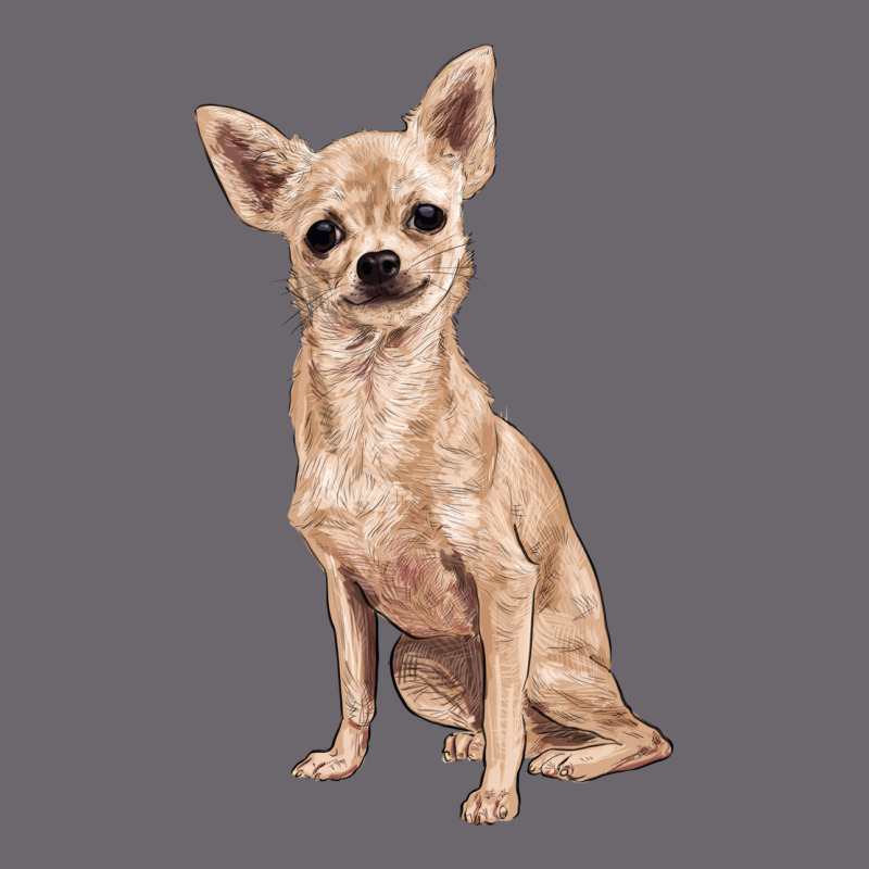 Chihuahua Premium Sweatshirt by RanaPortraitStore | Teevron