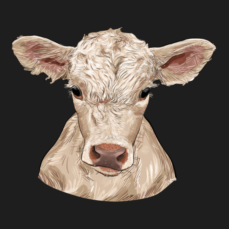 Charolais Calf Heavyweight Hoodie by RanaPortraitStore | Teevron