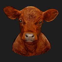 Red Angus Calf Heavyweight Hoodie | Teevron
