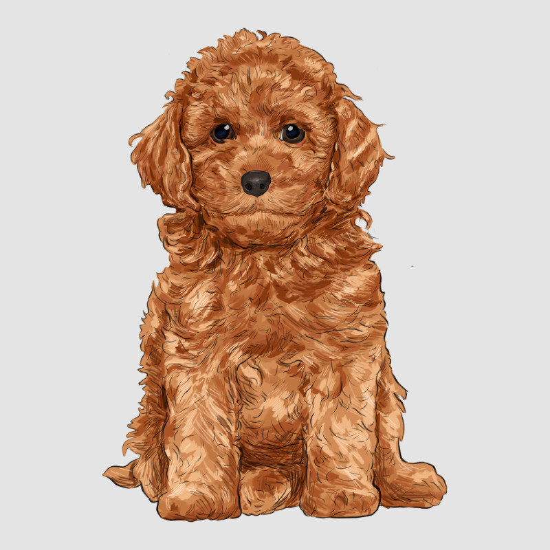 Toy Poodle Premium Sweatshirt by RanaPortraitStore | Teevron