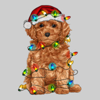 Toy Poodle With Christmas Lights Premium Sweatshirt | Teevron