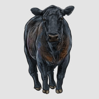 Black Angus Cattle Premium Sweatshirt | Teevron