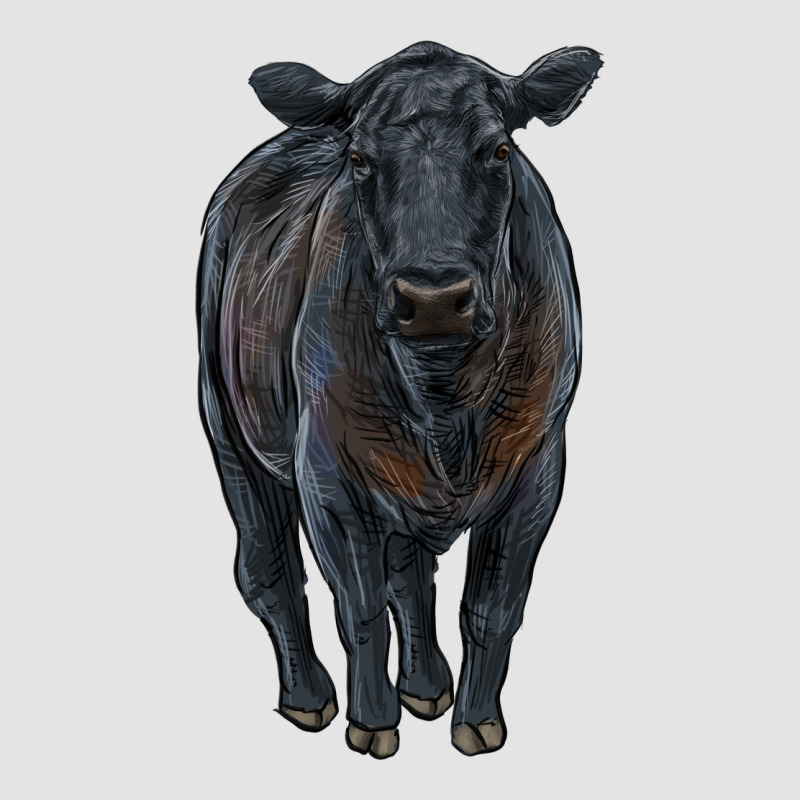 Black Angus Cattle Premium Sweatshirt by RanaPortraitStore | Teevron