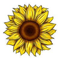 sunflower | Teevron