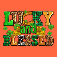 Lucky And Blessed With Coins And Shamrocks Premium Hoodie | Teevron