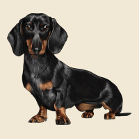 Dachshund Dog Illustrations Premium Tee | Teevron