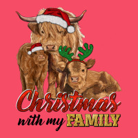 Christmas With My Family Highland Cow Cattle And Calves Premium Sweatshirt | Teevron