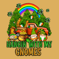 Hangin With My Gnomes With Rainbow Premium Hoodie | Teevron
