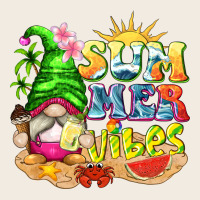 Summer Vibes Gnome Tbw Premium Sweatshirt | Teevron