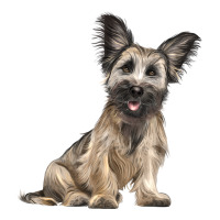 Skye Terrier Dog Illustrations | Teevron