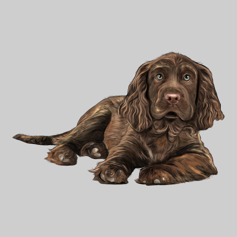 Sussex Spaniels Llustrations Premium Tee by LillyAllenDesigns | Teevron