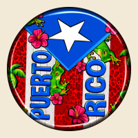 Puerto Rico Coasters Premium Hoodie | Teevron