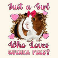 Just A Girl Love Who Loves Guinea Pigs Premium Hoodie | Teevron