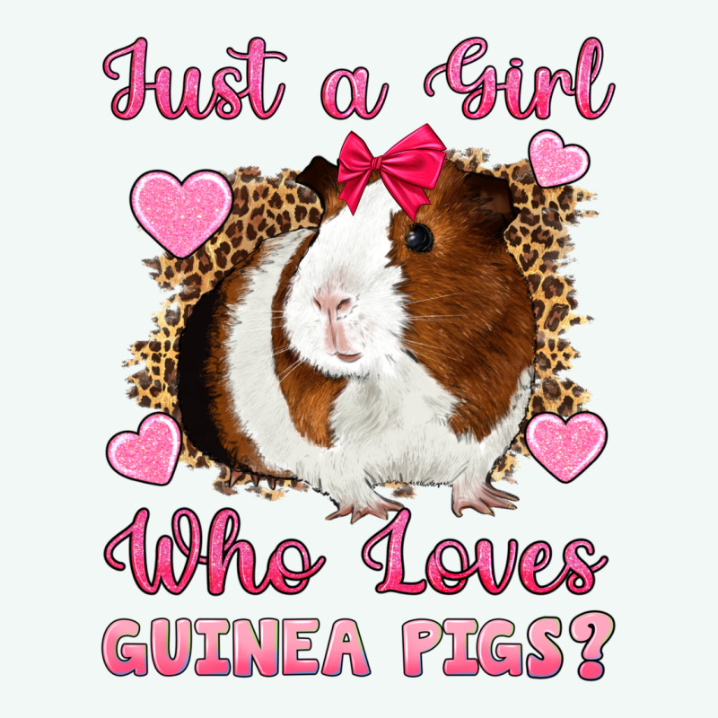 Just A Girl Love Who Loves Guinea Pigs Premium Hoodie by Artiststas | Teevron