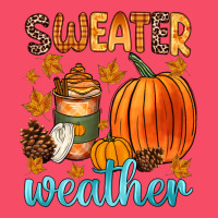 Bonfires Flannels S'mores Campfires And Pumpkins Premium Sweatshirt | Teevron
