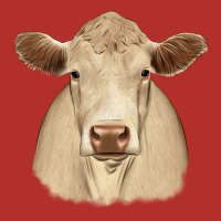 Charolais Premium Hoodie | Teevron
