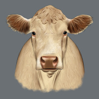 Charolais Premium Hoodie | Teevron
