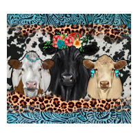 black angus Simmental charolais | Teevron